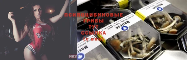 альфа пвп Баксан