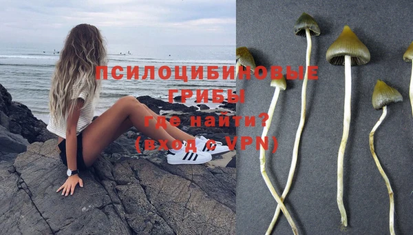 альфа пвп Баксан