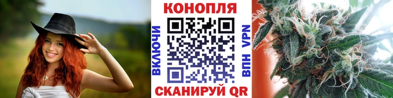 Шишки марихуана Bruce Banner Сельцо